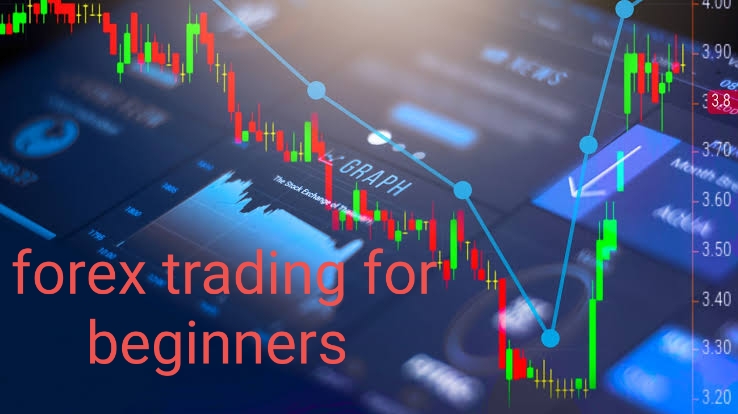 Forex trading for beginners 