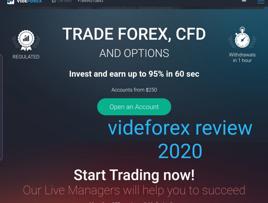 Videforex review : is videforex regulated or scam? should ...